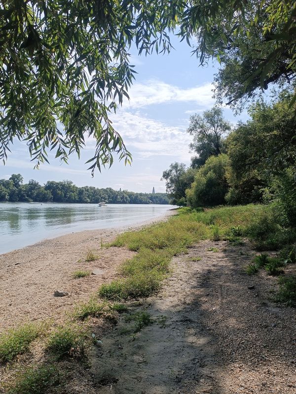 Királyok útja - Királyok útja