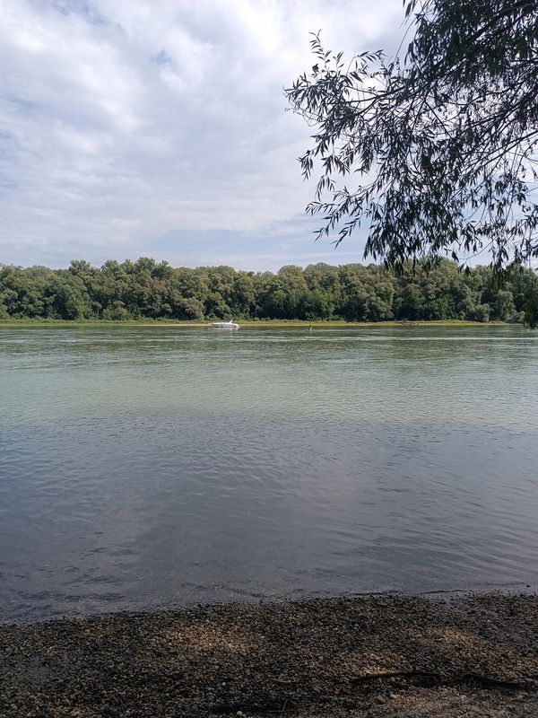 Királyok útja - Királyok útja