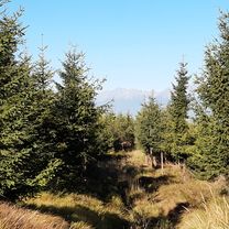 Foto 7 der Bikemap-Route "Cez lesy a lúky po hrebeni."