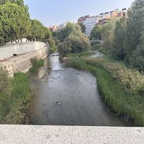 Anillo verde norte