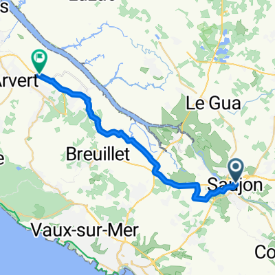 De Rue des Tulipes à D141