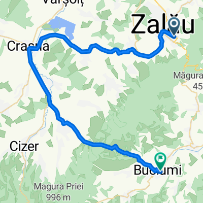 Route from Strada Corneliu Coposu 110A