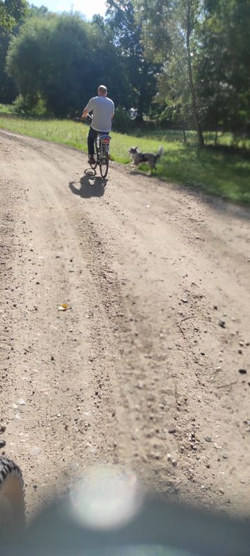 kiesgrube, Hunderunde