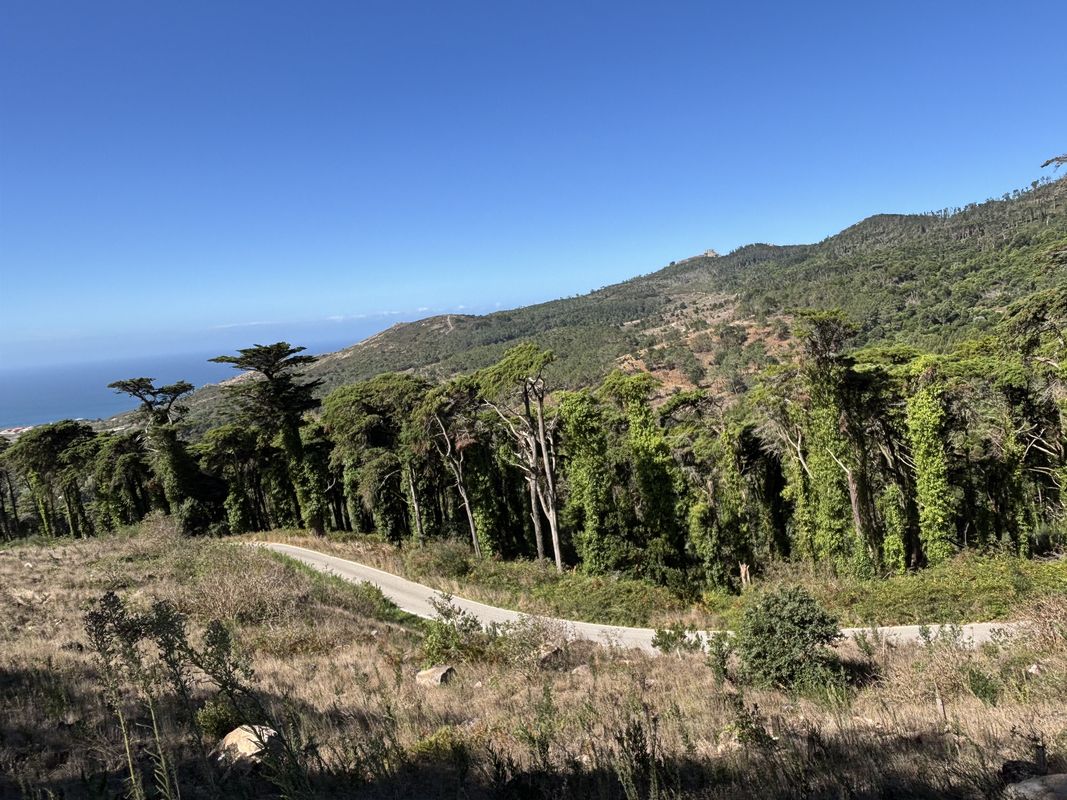 Rua Ruben Andersen Leitão, Cascais a Rua Rub, Cascais