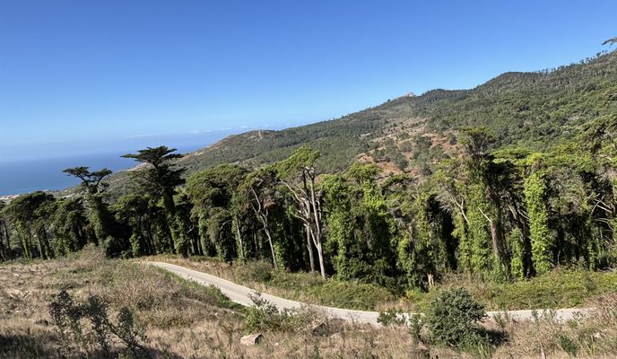 Foto 2 del percorso Bikemap "Rua Ruben Andersen Leitão, Cascais a Rua Rub, Cascais"