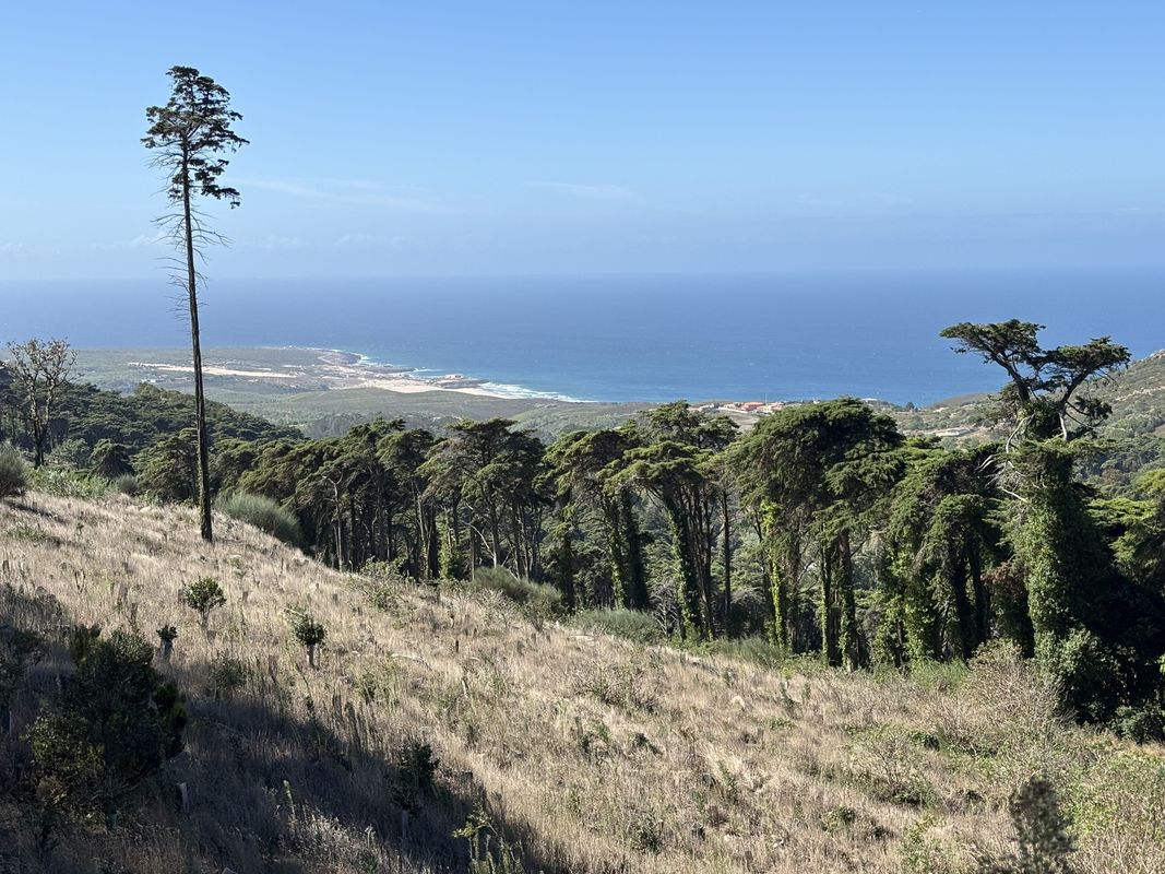 Rua Ruben Andersen Leitão, Cascais a Rua Rub, Cascais