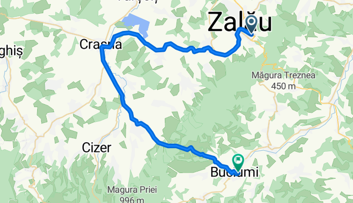 Route from Strada Corneliu Coposu 110A