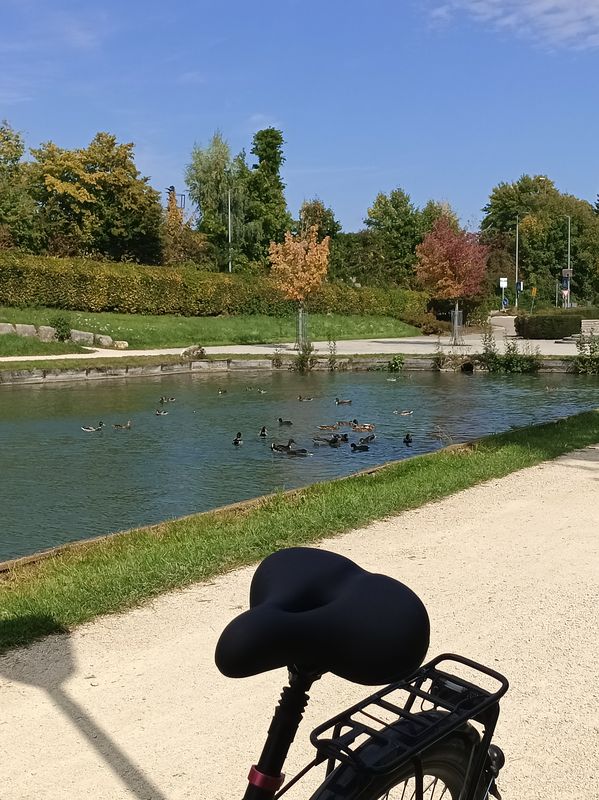 Ehingen-Laupheim und zurück