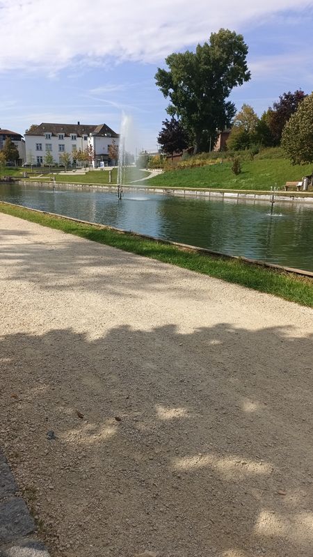 Ehingen-Laupheim und zurück