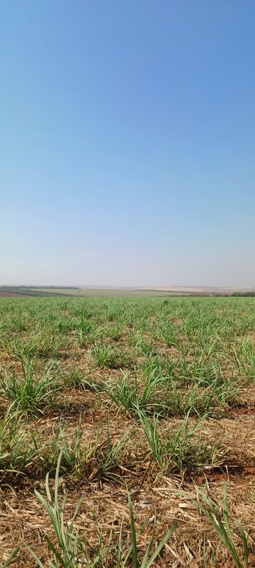 De Rua Aristides Penedo a Rua Aristides Penedo