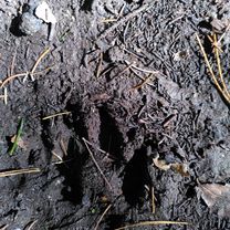 ATC Vavrišovo - dolný kemp nach Vavrišovo