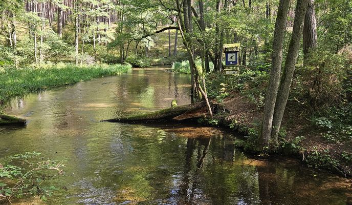 Zdjęcie 2 trasy Bikemap „Tarnowo do Tarnowo”