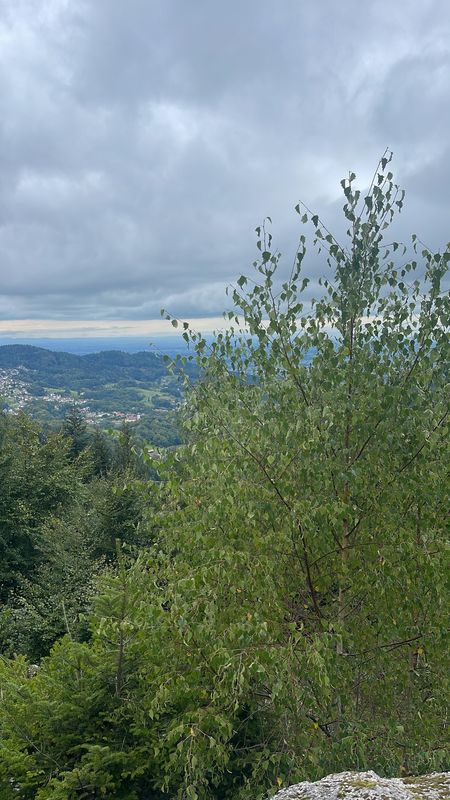 Hirschbachstraße, Bühl nach Wasenweg, Bühl