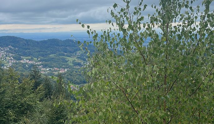 Foto 2 del percorso Bikemap "Hirschbachstraße, Bühl nach Wasenweg, Bühl"