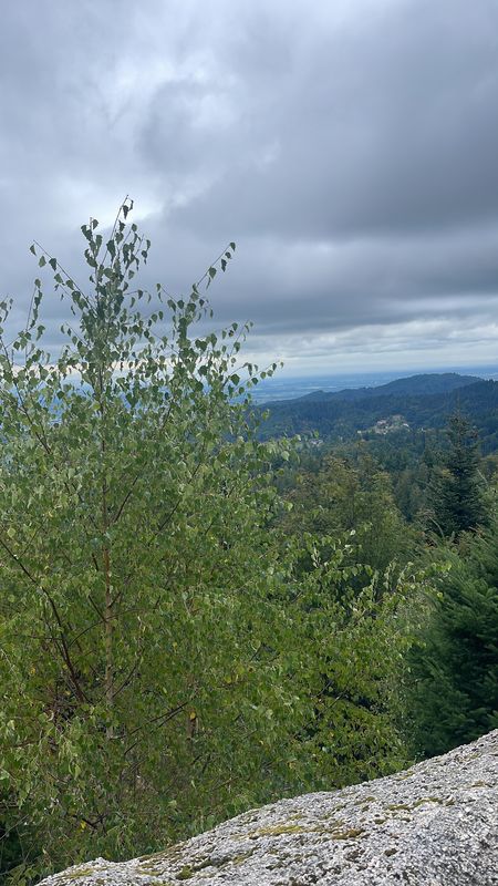 Hirschbachstraße, Bühl nach Wasenweg, Bühl