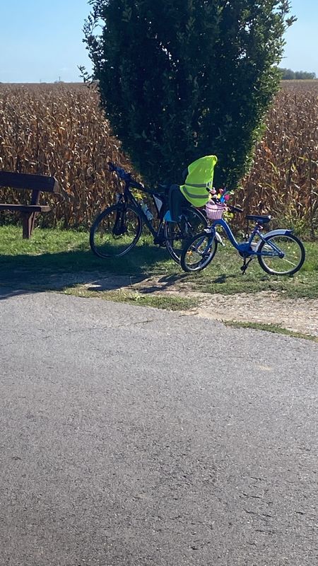 4814-es mellékút, Kokad - Kossuth Lajos utca, Álmosd