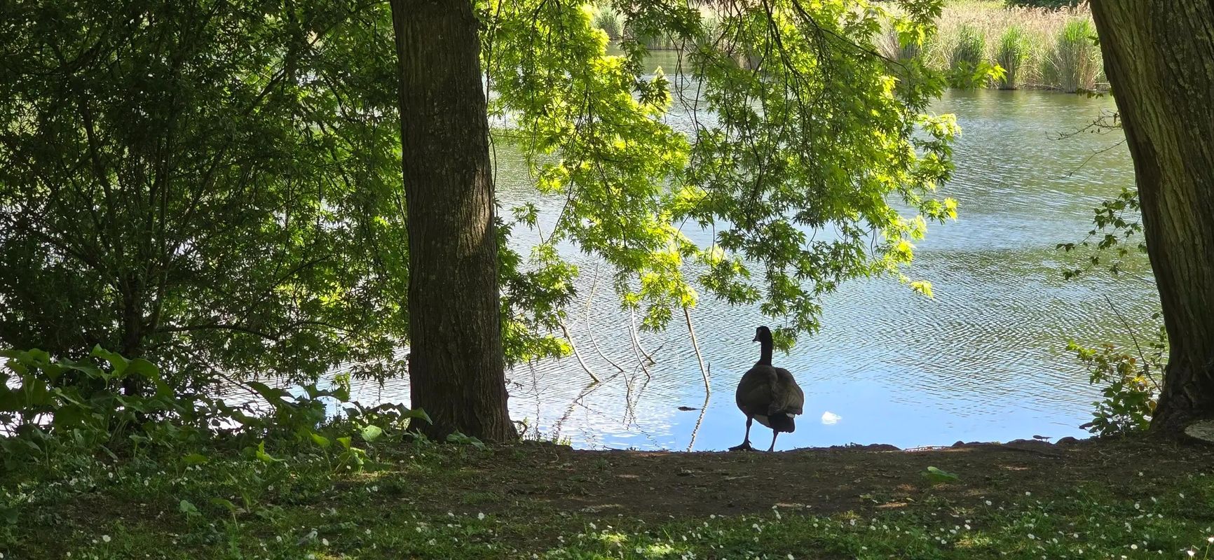 Petite sortie à VTT VAE. Paris - Parc Georges Valbon
