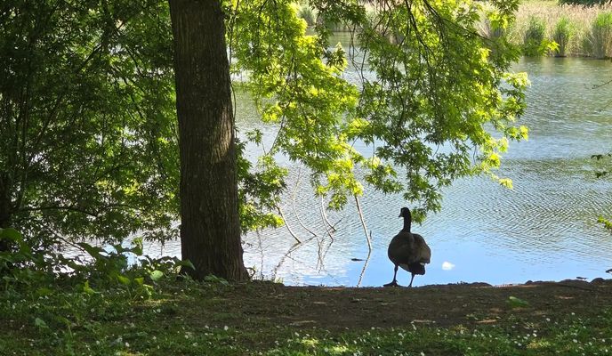 Foto 2 der Bikemap-Route "Petite sortie à VTT  VAE. Paris - Parc Georges Valbon" Foto 2 der Bikemap-Route "Petite sortie à VTT  VAE. Paris - Parc Georges Valbon"