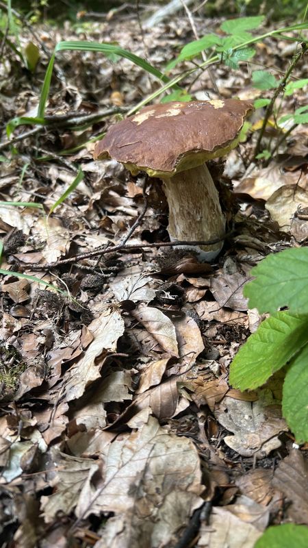 Choriner Bahnhofstraße, Chorin nach Hebewerkstraße, Niederfinow