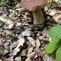 Choriner Bahnhofstraße, Chorin nach Hebewerkstraße, Niederfinow