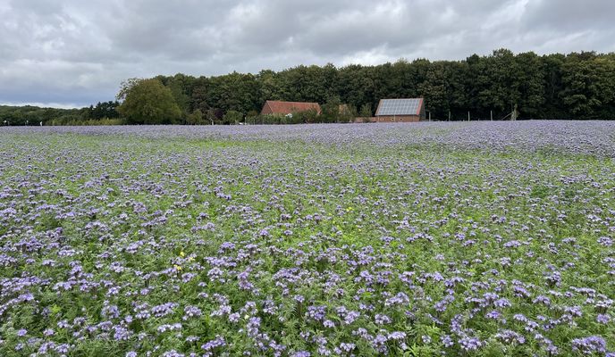 Foto 1 de la ruta de Bikemap "Eper Straße, Ahaus nach Bremer Platz, Münster"
