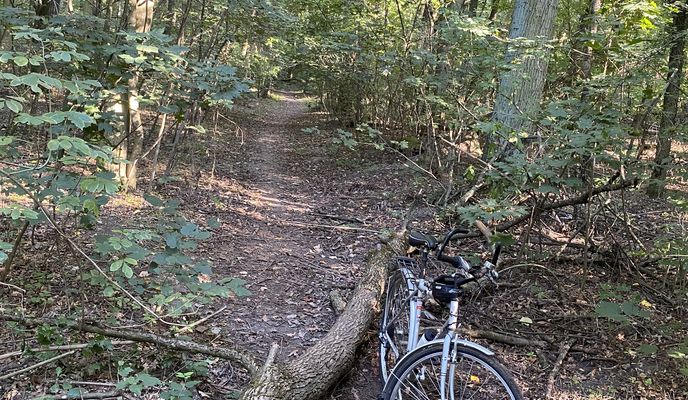 Zdjęcie 2 trasy Bikemap „Pallag 2” Zdjęcie 2 trasy Bikemap „Pallag 2”