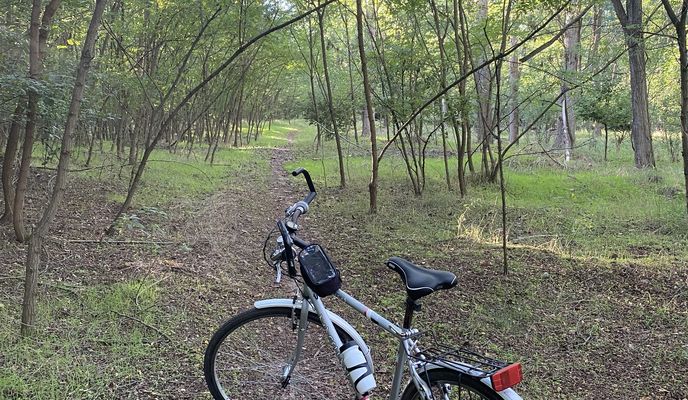 Zdjęcie 1 trasy Bikemap „Pallag 2” Zdjęcie 1 trasy Bikemap „Pallag 2”