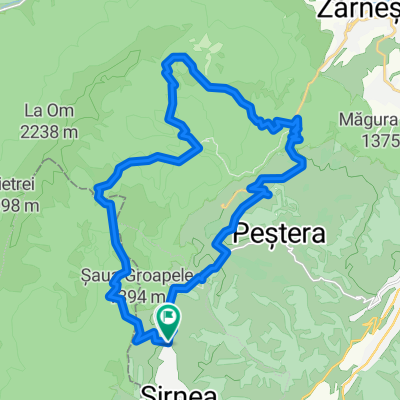 Dâmbovicioara Cycling