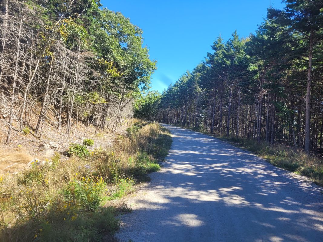 Upper Tantallon to Hubbards on the Trail