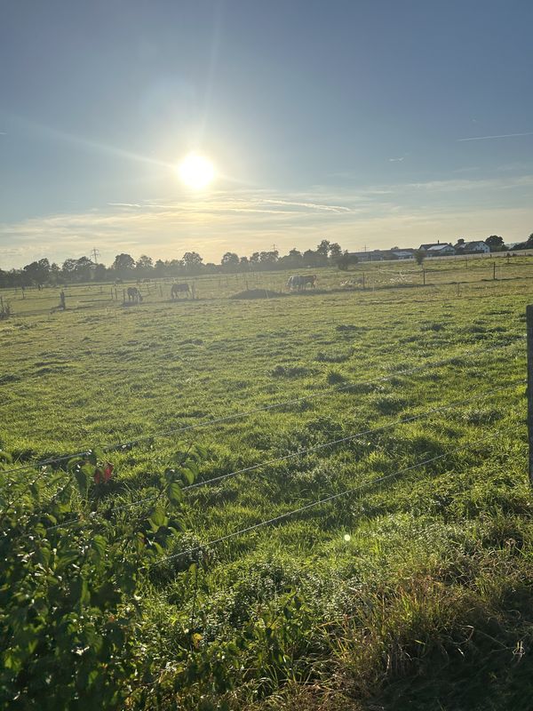 Hermann-Löns-Straße, Aschau a.Inn nach Stadtplatz, Waldkraiburg