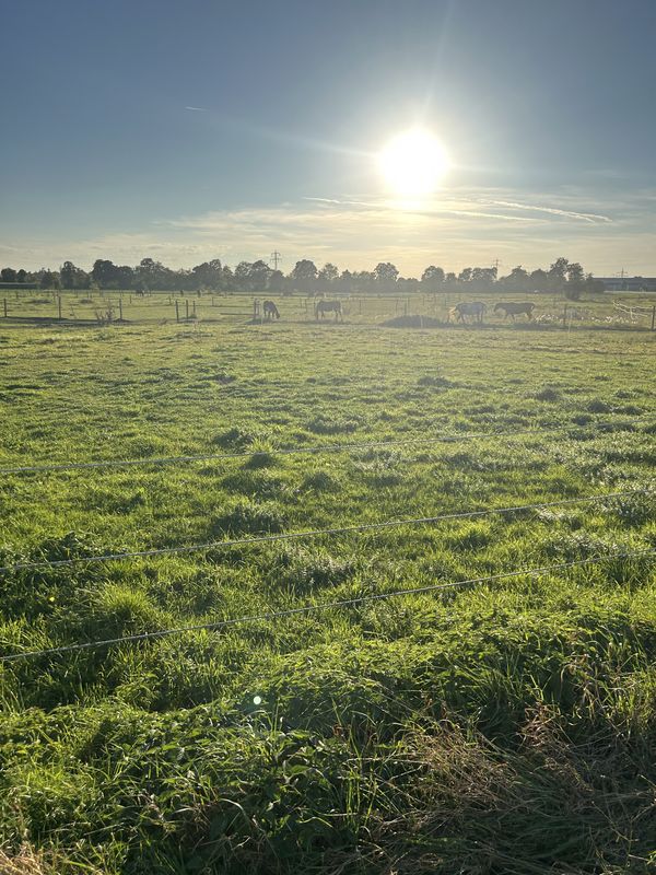 Hermann-Löns-Straße, Aschau a.Inn nach Stadtplatz, Waldkraiburg
