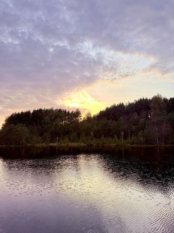 Берёзовая улица, Кудрово to улица Коммуны, Saint Petersburg