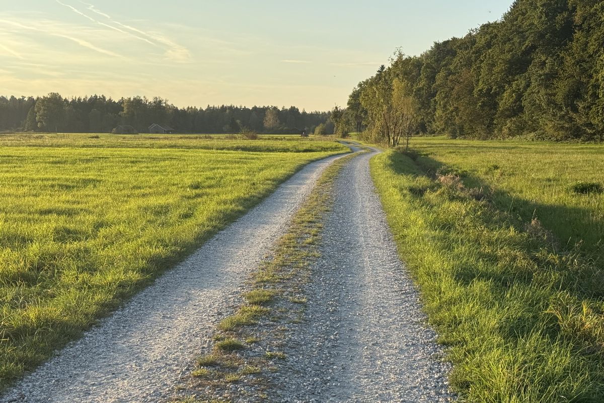 Abendrunde Freilassing - Surheim