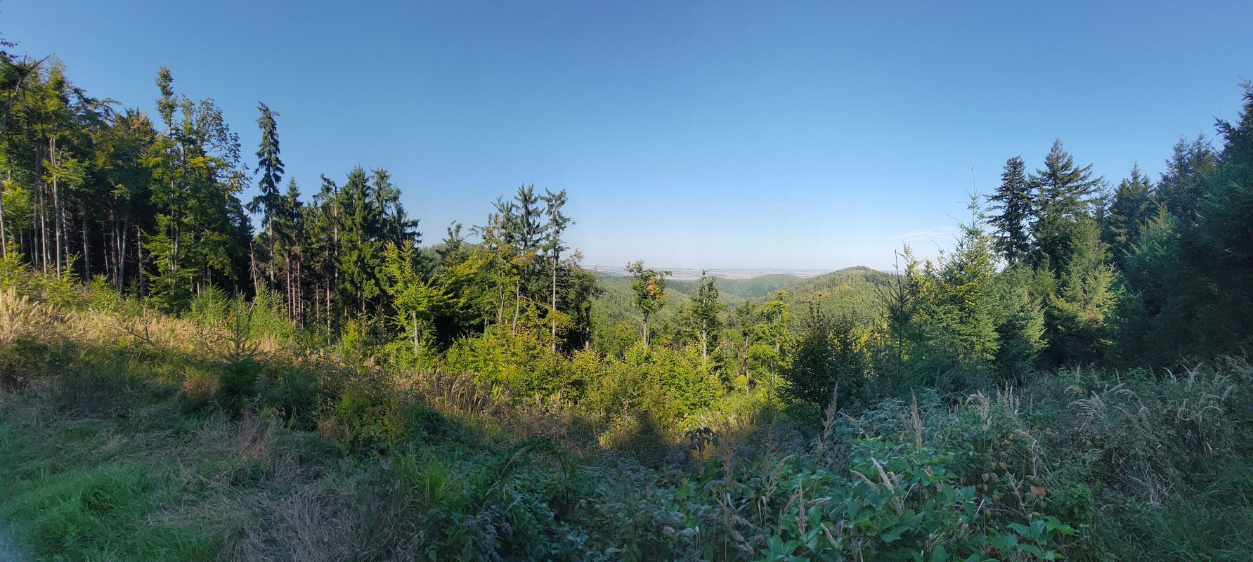 Droga Bez Nazwy do Droga Bez Nazwy