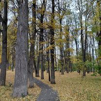 пизд*ц (забыл вырубить)