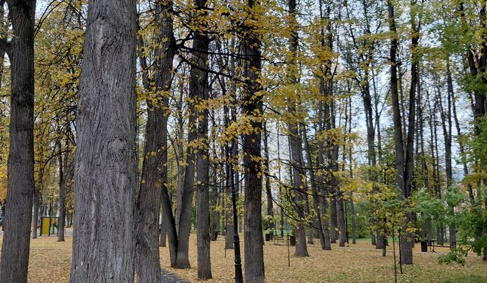 Foto 1 de la ruta de Bikemap "пизд*ц (забыл вырубить)"