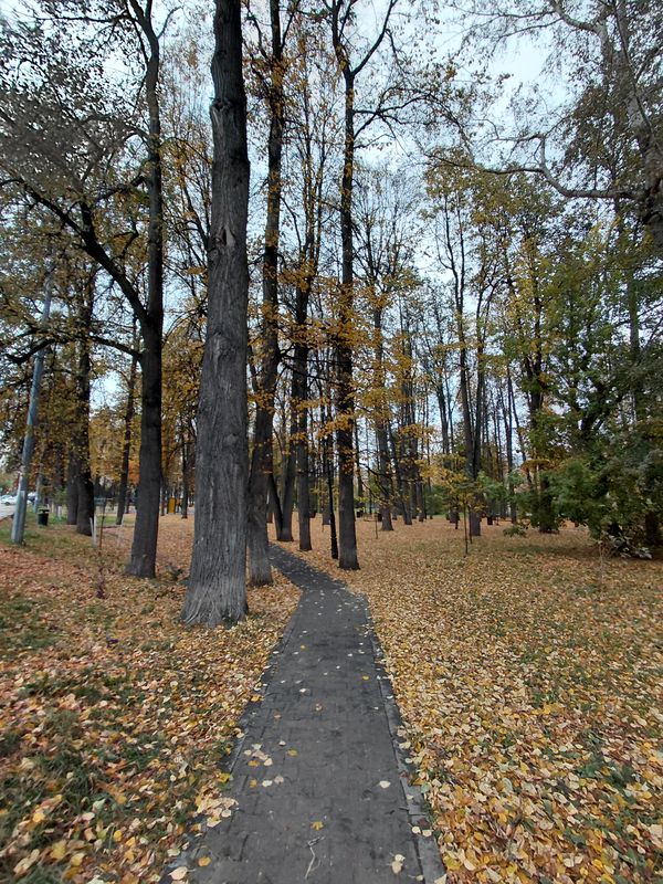 пизд*ц (забыл вырубить)