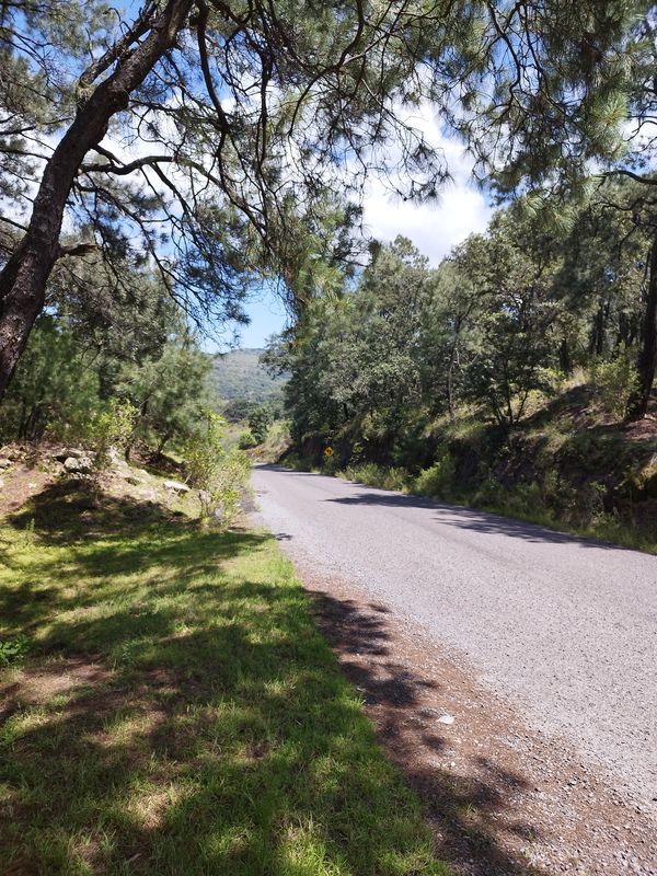 De Vía Sin Nombre a Luis Galicia