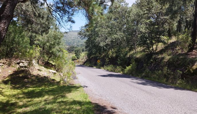 Photo 2 of the Bikemap route "De Vía Sin Nombre a Luis Galicia"