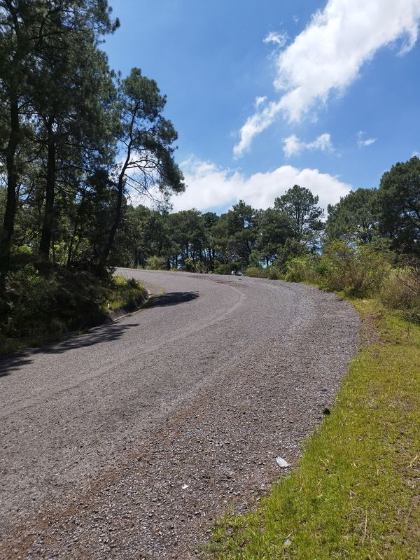 De Vía Sin Nombre a Luis Galicia