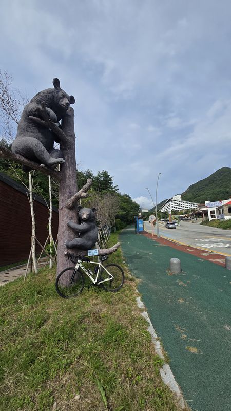 설악동 246-46 ~ 동명동 450-133