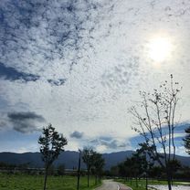 물금읍 171-4 ~ 물금읍