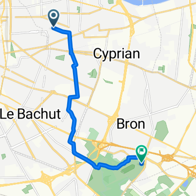 Rue Richelieu, Villeurbanne à Allée des Érables, Bron