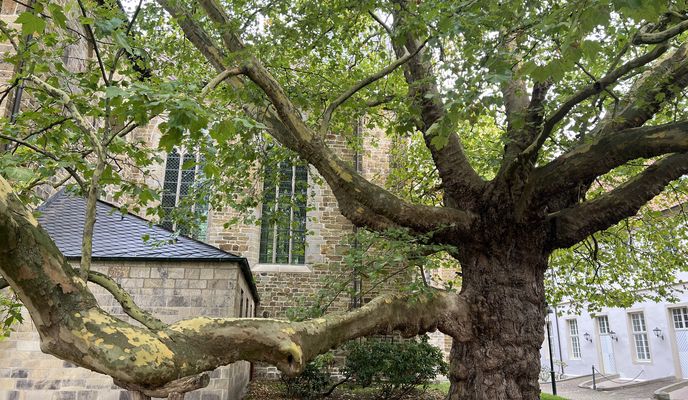 Foto 2 del percorso Bikemap "Wolbecker Straße, Münster nach Schützenstraße, Dortmund"