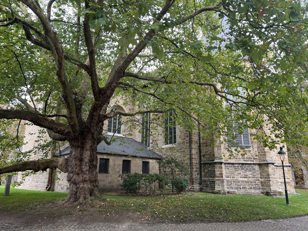 Wolbecker Straße, Münster nach Schützenstraße, Dortmund