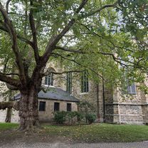 Wolbecker Straße, Münster nach Schützenstraße, Dortmund