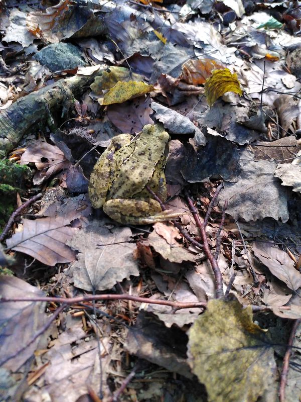 Trusalová nach Trusalová