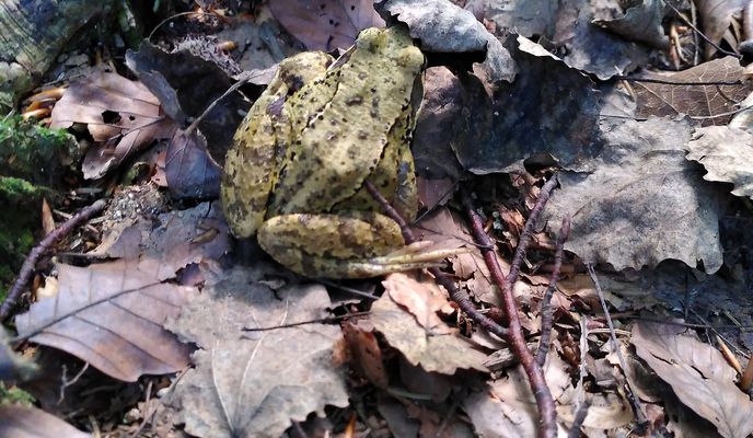 Foto 1 der Bikemap-Route "Trusalová nach Trusalová" Foto 1 der Bikemap-Route "Trusalová nach Trusalová"