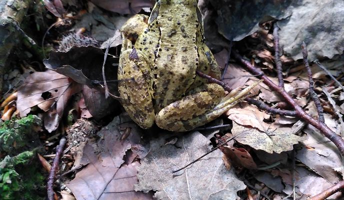 Foto 2 der Bikemap-Route "Trusalová nach Trusalová" Foto 2 der Bikemap-Route "Trusalová nach Trusalová"