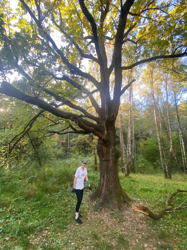 55.615, 37.556 до 55.548, 37.515